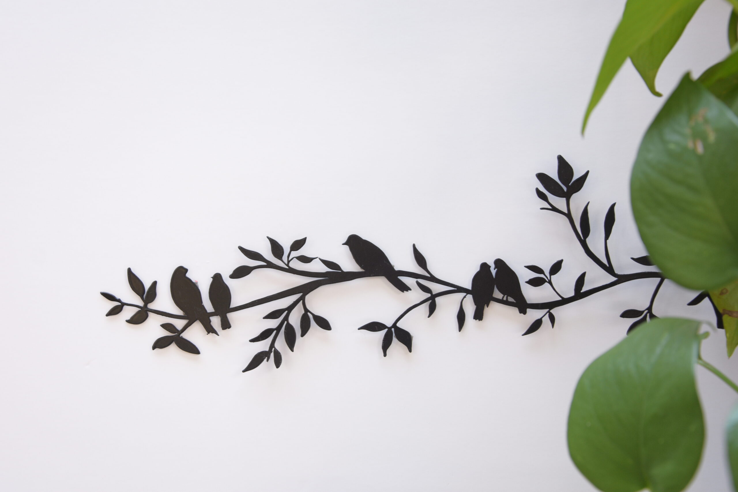 ענף ציפורים – תמונה 5