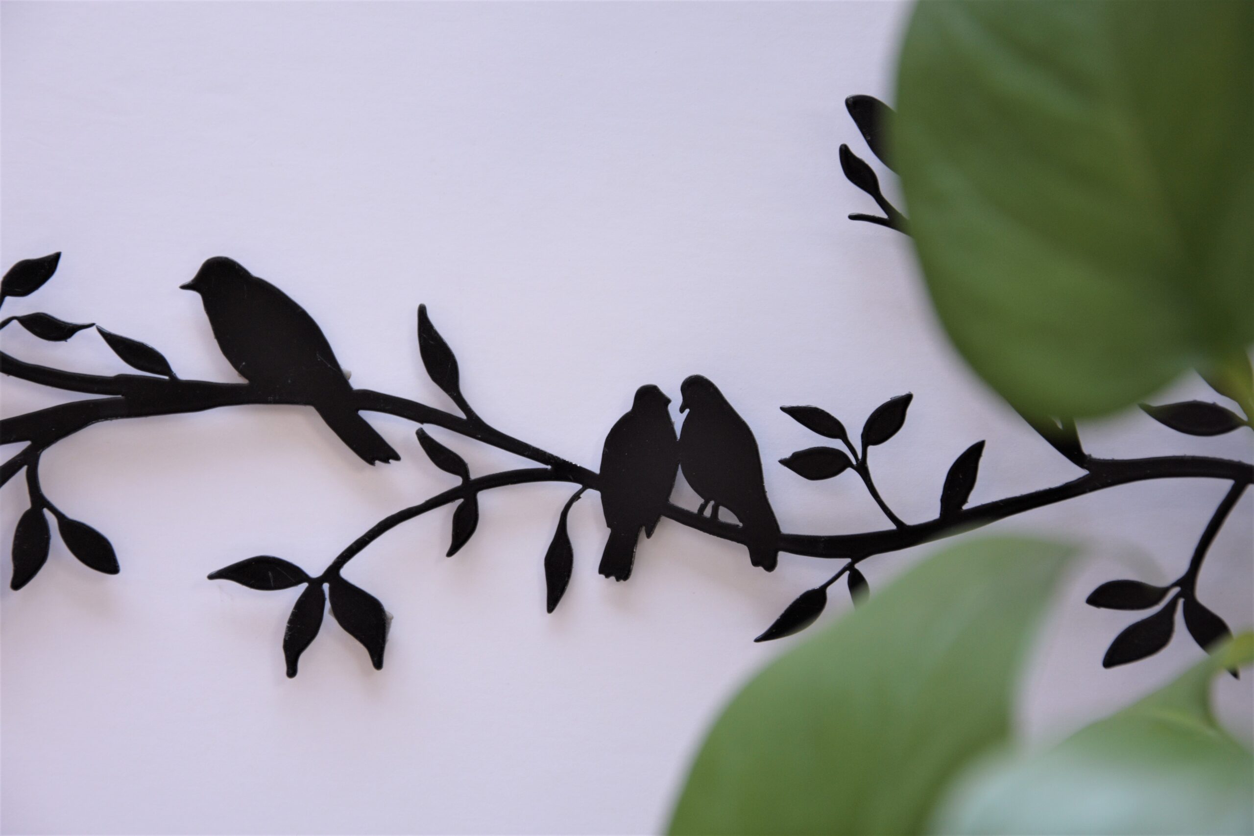 ענף ציפורים – תמונה 2